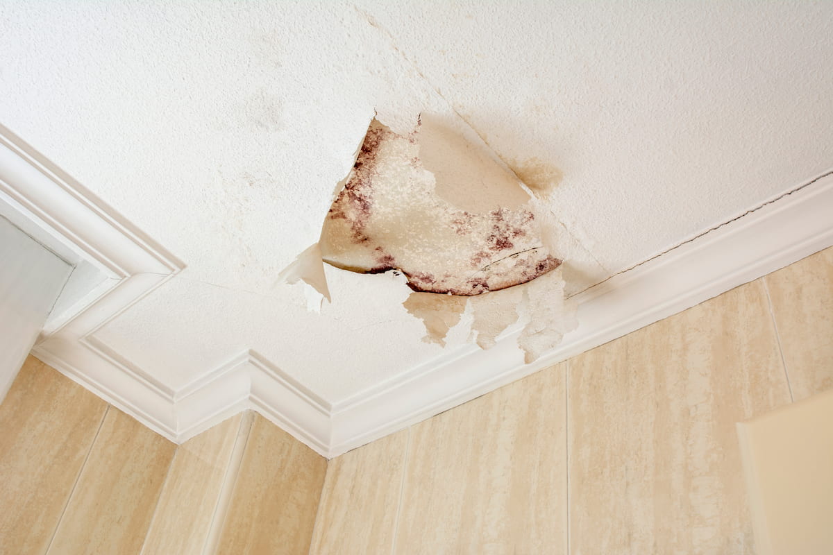 Vochtplekken-plafond (1)